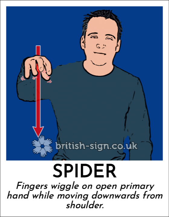 Spider: Fingers wiggle on open primary hand while moving downwards from shoulder.